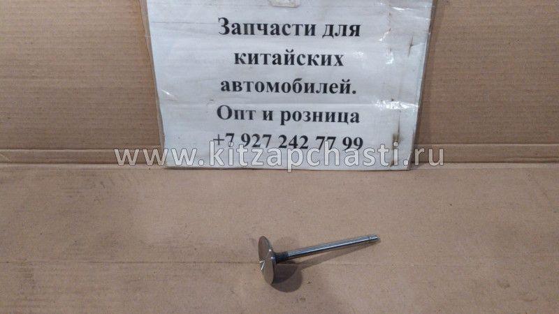 Клапан впускной BAW Fenix 33460 Евро 4 1007011X2